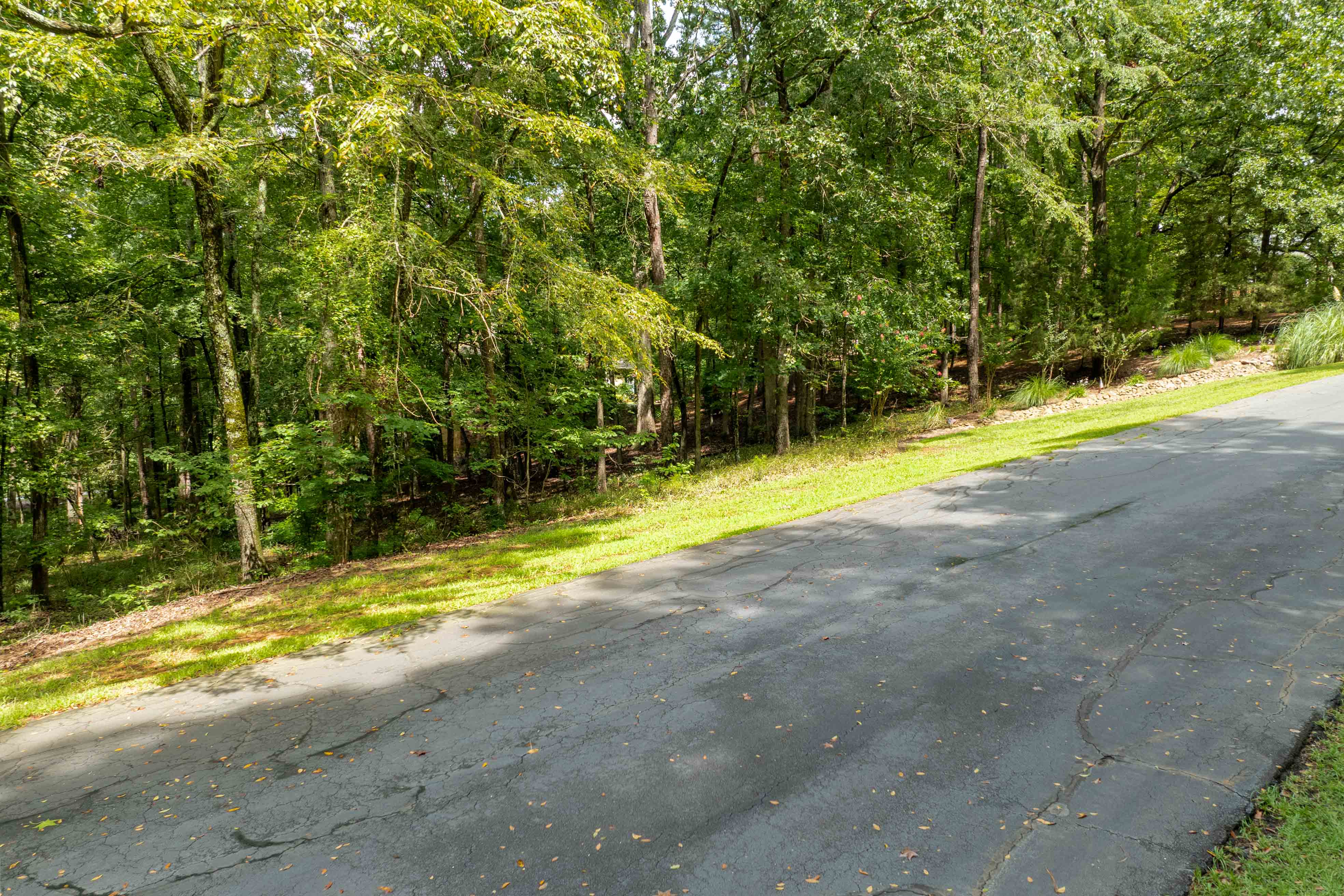 1161 Shoulder Bone Circle image 3